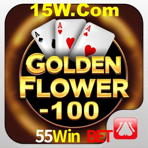 A Experiência Imersiva dos Cassinos Ao Vivo no 55Win Bet